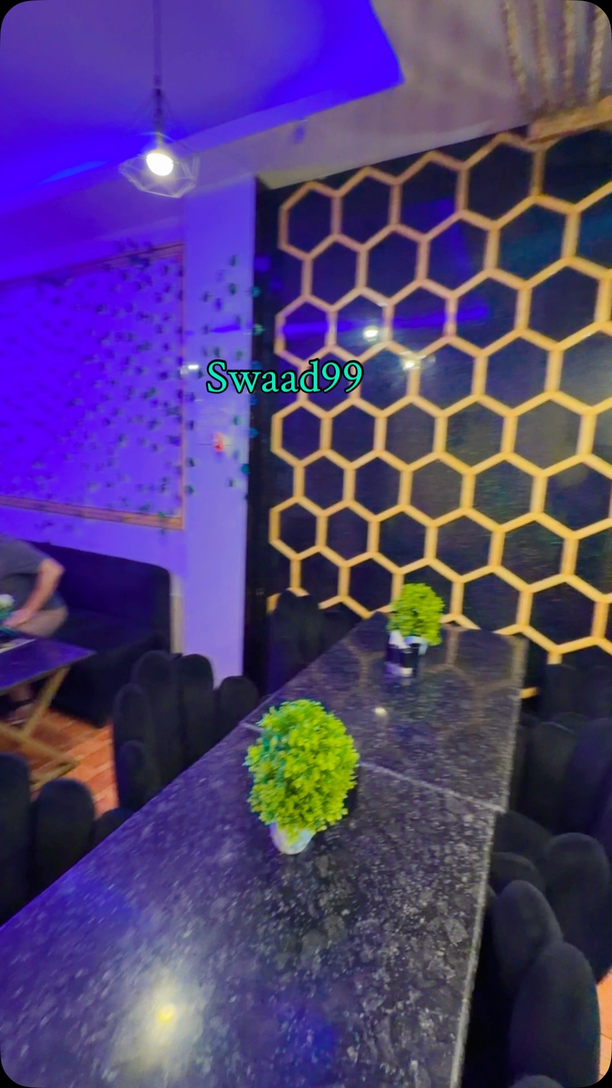 Swaad99 Restaurant 🍽️🍴🥢🥰🎺🎺🎺#swaad99 #multicuisinerestaurant #foodlovers #highlights #fypシ❤️💞❤️